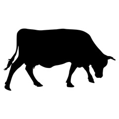 Black silhouette of cash cow on white background