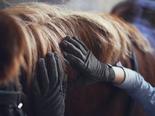 Hands in gloves on the mane of a horse.