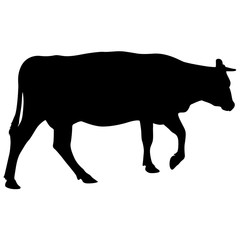 Black silhouette of cash cow on white background