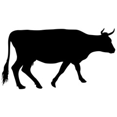 Black silhouette of cash cow on white background