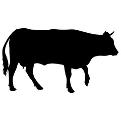 Black silhouette of cash cow on white background