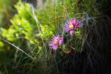Tatran National Park
