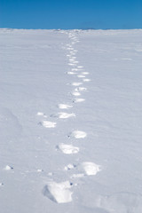 Footprints in the snow