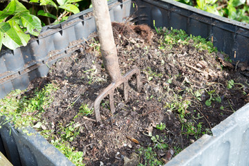 Family compost with a fork to turn it around