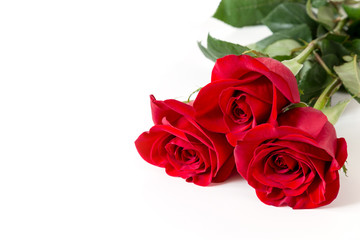 Obraz premium Three red roses
