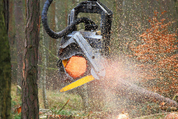 The harvester working in a forest. Harvest of timber. Firewood as a renewable energy source....