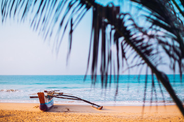 Untouched tropical beach with palms and fishing boats in Sri-Lanka. Copy space. 