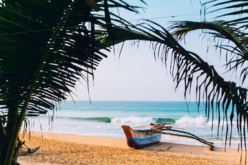 Untouched tropical beach with palms and fishing boats in Sri-Lanka. Copy space. 