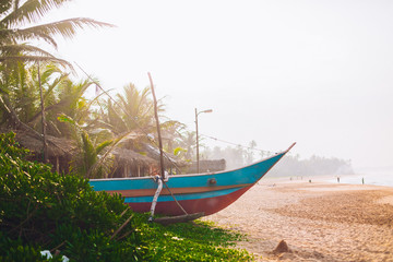 Untouched tropical beach with palms and fishing boats in Sri-Lanka. Copy space. 