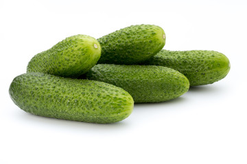The first spring ecologically cucumbers.