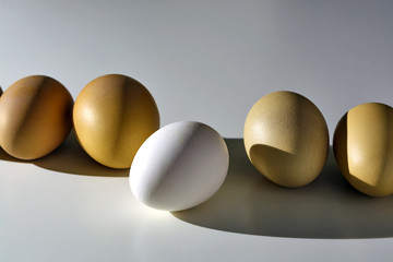 eggs on the table under the rays of the morning sun