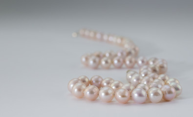 Obraz premium Pink pearl necklace on white background