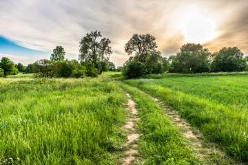 Obraz premium Dirt road and green field landscape with moody sky before sunset