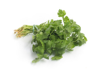 Fresh Organic Coriander