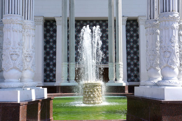 Fototapeta na wymiar Fountain in the rotunda, green water and snow-white columns