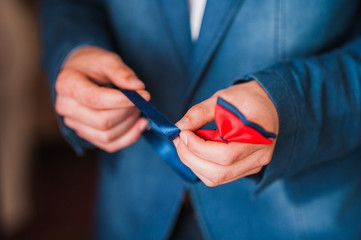    Businessman wearing tie butterfly