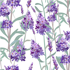 Obraz na płótnie Canvas Seamless pattern with hand drawn lavender
