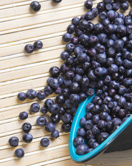 scattered blueberries