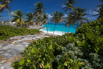 Fototapeta na wymiar Bottom Bay is one of the most beautiful beaches on the Caribbean island of Barbados.