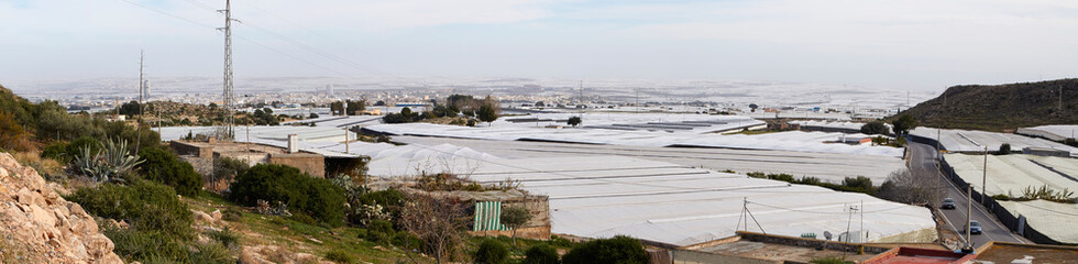 Fototapeta na wymiar plastic greenhouses of El Ejido, panorama