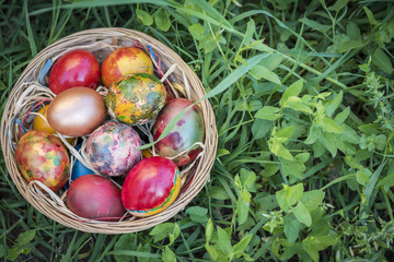 Colorful Easter eggs in a basket and green grass background 