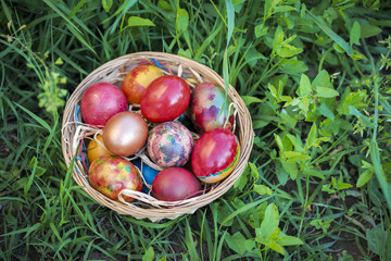 Colorful Easter eggs in a basket and green grass background 