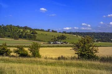 chiltern hills ridgeway path buckinghamshire england uk