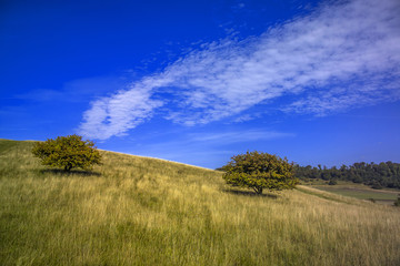 chiltern hills ridgeway path buckinghamshire england uk