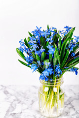 Bouquet of blue spring flowers on marble background. Copy spase