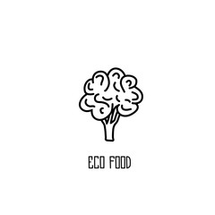 Cauliflower hand drawn ink sketch.