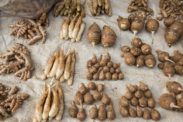 THAILAND CHIANG RAI MAE SALONG MARKET FEGETABLE ROOTS