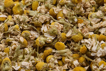 Close up of dry flowers of chamomile or camomile