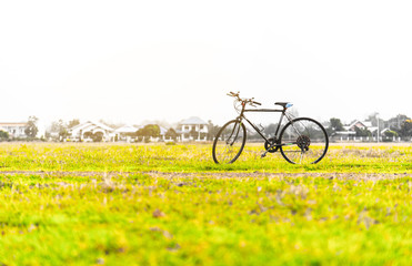 Fototapeta na wymiar Old bicycle in green field. Image with vintage filter
