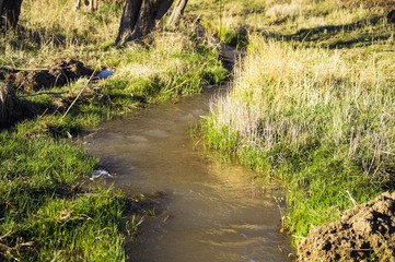 tiny streams and moving water
