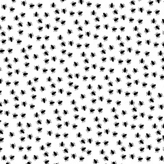 Spiders on white background