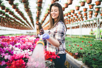 Two attractive young women working in greenhouse and enjoying in beautiful flowers.