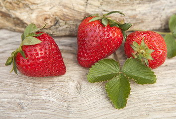 fraises fraiches bio