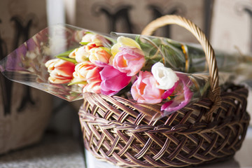 Cool tulips lies in basket