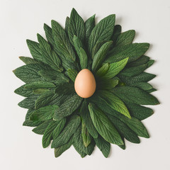 Easter egg in nest made of green leaves. Creative easter concept. Minimal flat lay.
