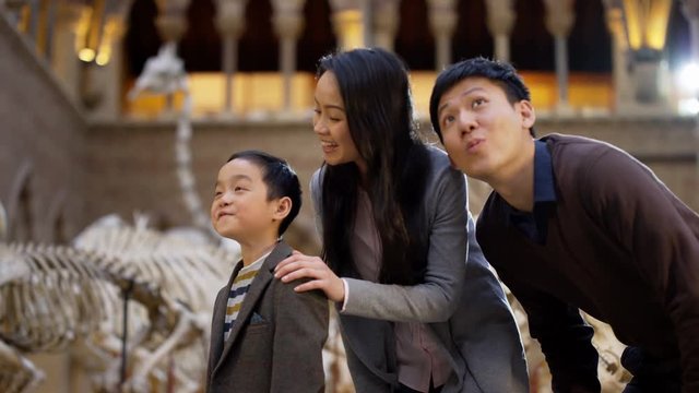  Young Asian family visiting a museum & looking at the exhibits with amazement