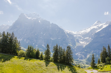 Grindelwald, Dorf, Bort, First, Schreckhorn, Grindelwaldgletscher, Wanderweg, Alpen, Schweizer Berge, Sommer, Schweiz