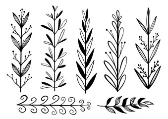 Hand drawn decorative plant branches, twigs design