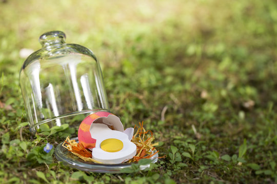 Oeuf de P&acirc;ques... Oooops !