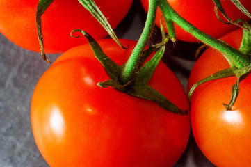 Branch of tomatoes on dark background..