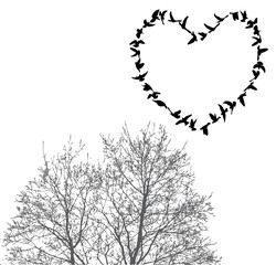 Silhouette flying birds and silhouette tree vector