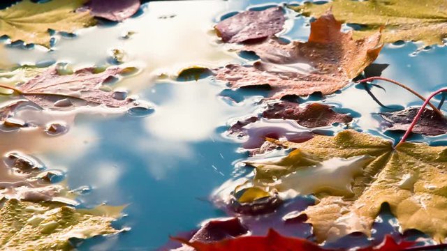Sunny Autumn Weather