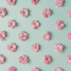 Pink flower pattern on blue pastel background. Minimal spring concept. Flat lay.