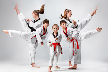 The studio shot of group of kids training karate martial arts - obrazy, fototapety, plakaty
