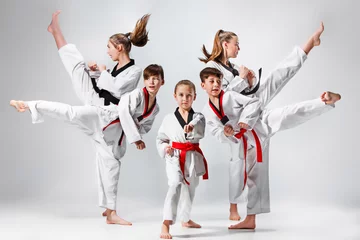 Fototapeten The studio shot of group of kids training karate martial arts © master1305