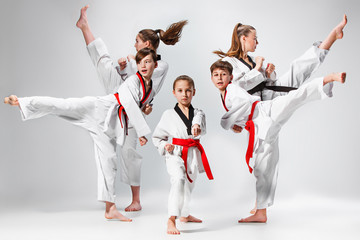 The studio shot of group of kids training karate martial arts